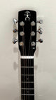 aNueNue M200E Travel Guitar