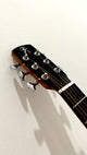 aNueNue M200E Travel Guitar