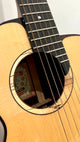 aNueNue M200E Travel Guitar