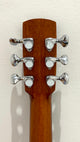 aNueNue M200E Travel Guitar