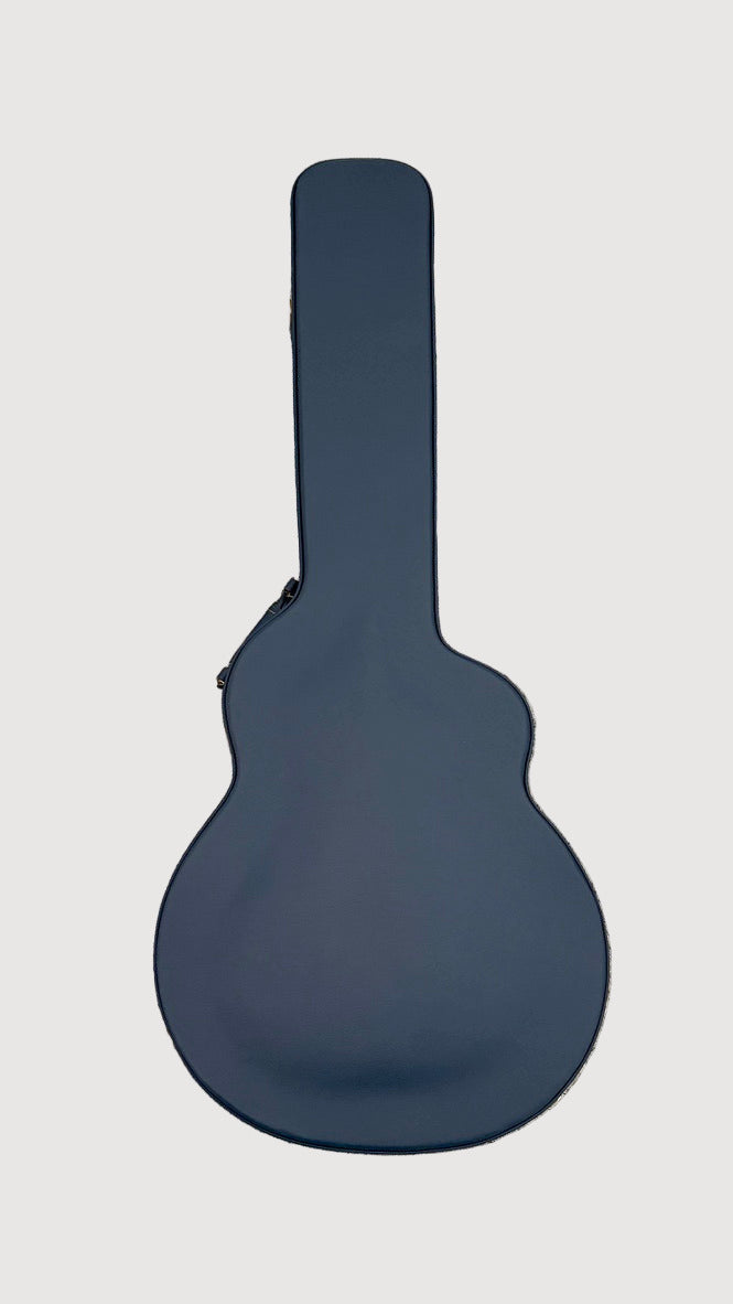 aNueNue LS700 Gitarre