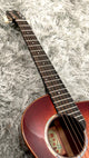 aNueNue M88ITE Travel Guitar