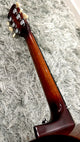 aNueNue M88ITE Travel Guitar