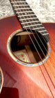 aNueNue M88ITE Travel Guitar