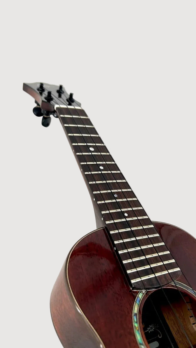 aNueNue Singer RS1M