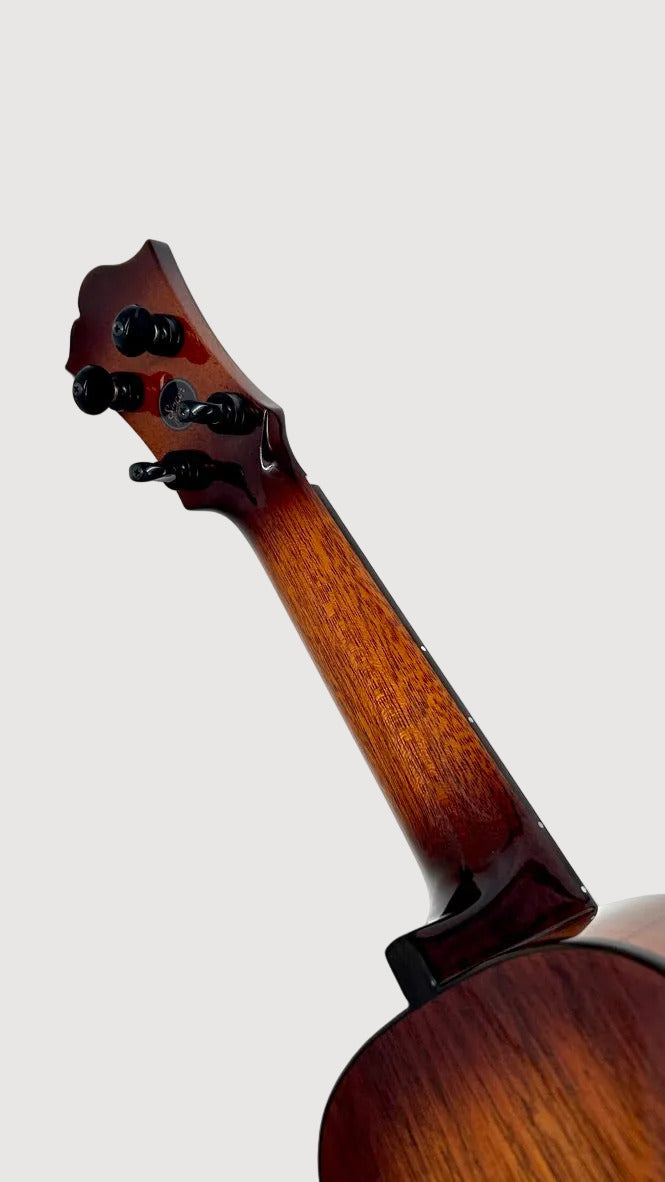 aNueNue Singer RS1M