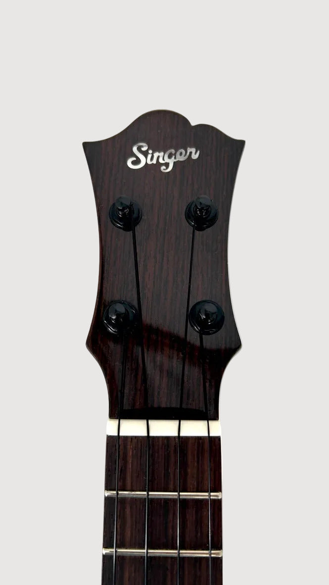 aNueNue Singer RS1M