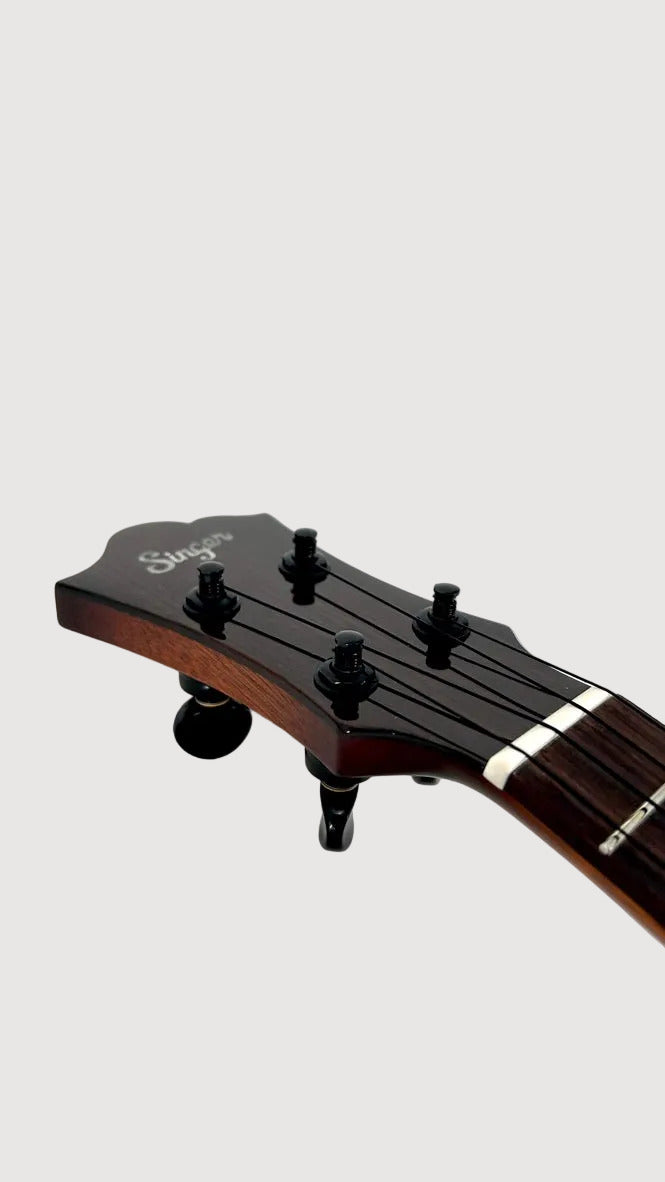 aNueNue Singer RS1M