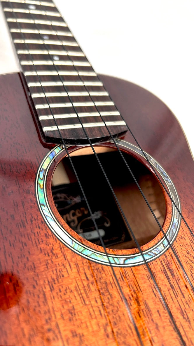 aNueNue Singer RS1M