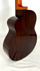 aNueNue UB200 Moonbird Bariton