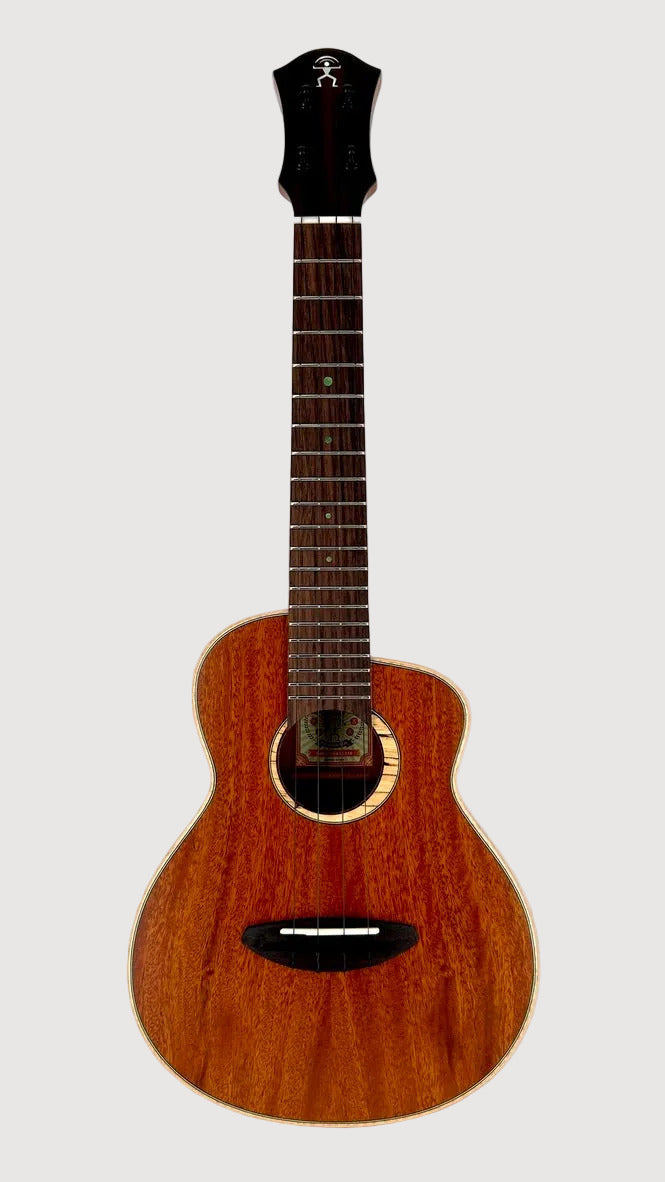 aNueNue UC110 Green Bird Concert