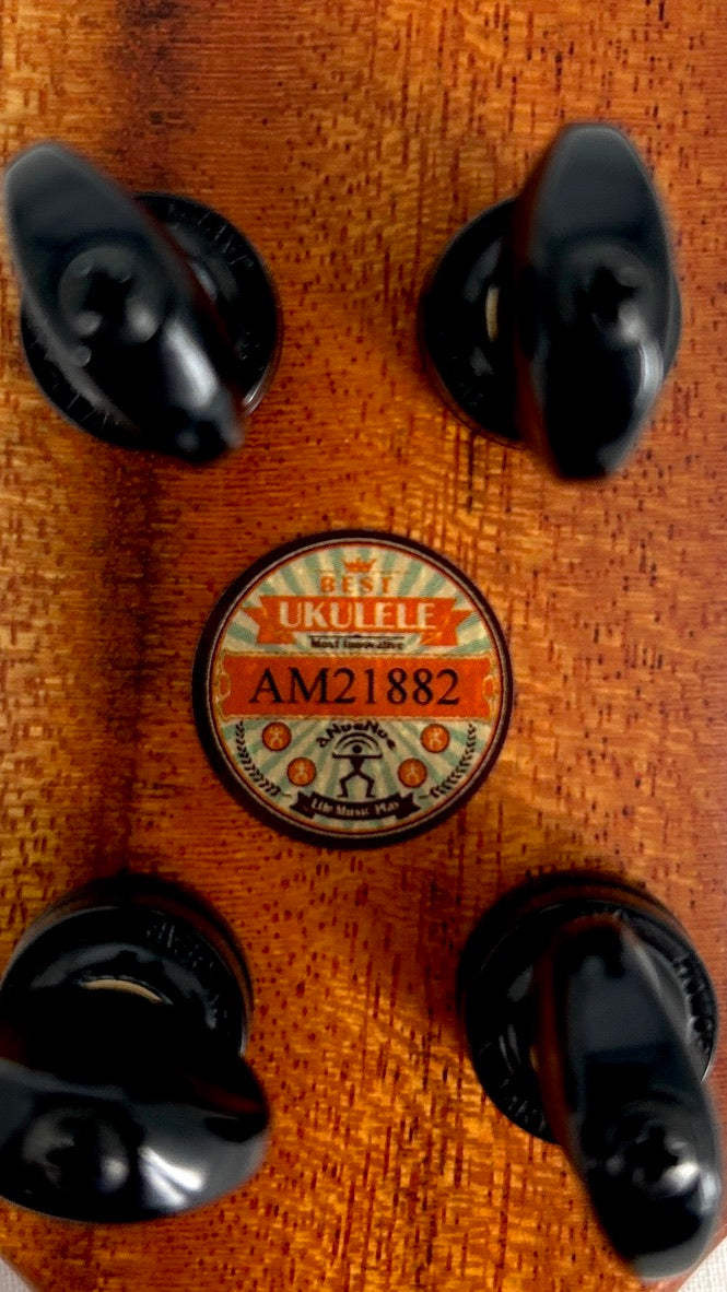 aNueNue UC110 Green Bird Concert