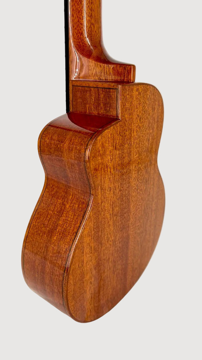 aNueNue US100 Sitka Bird Sopran