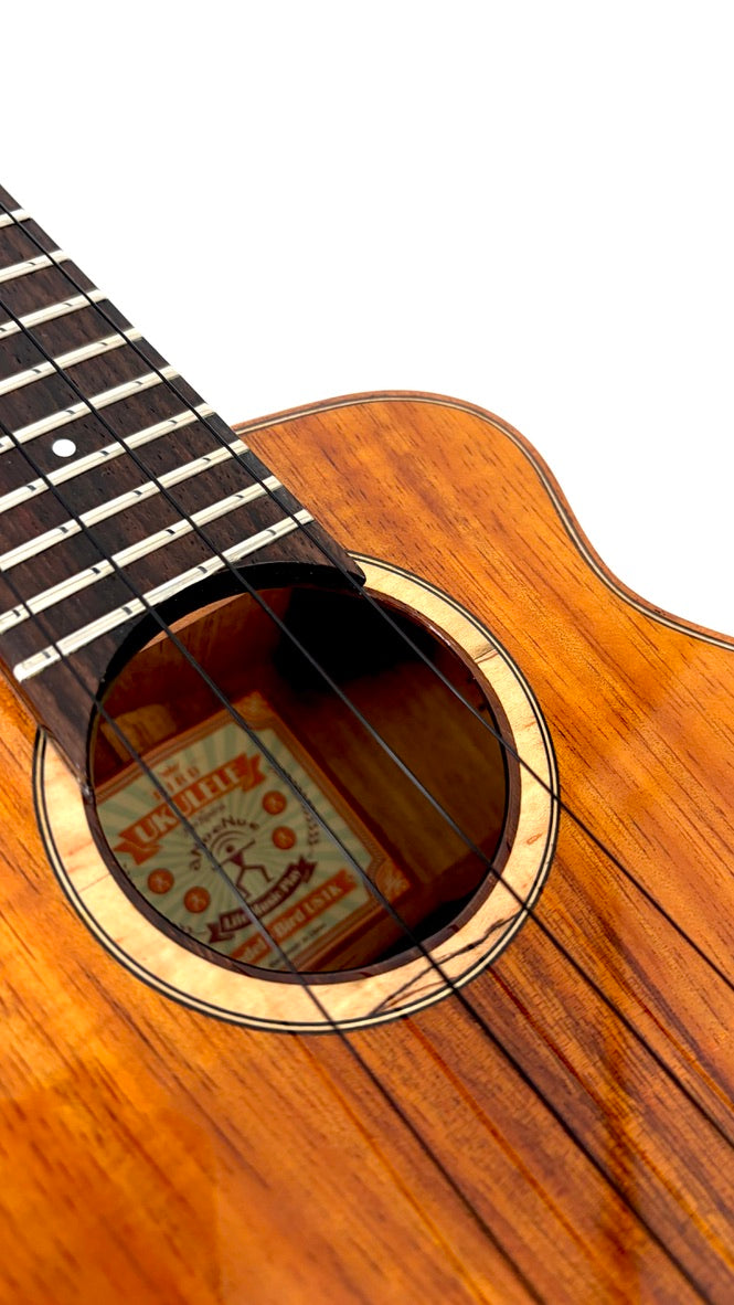 aNueNue US1K Koa Bird Sopran