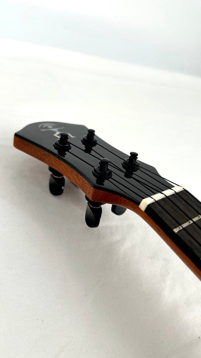 aNueNue US200 Moonbird Sopran