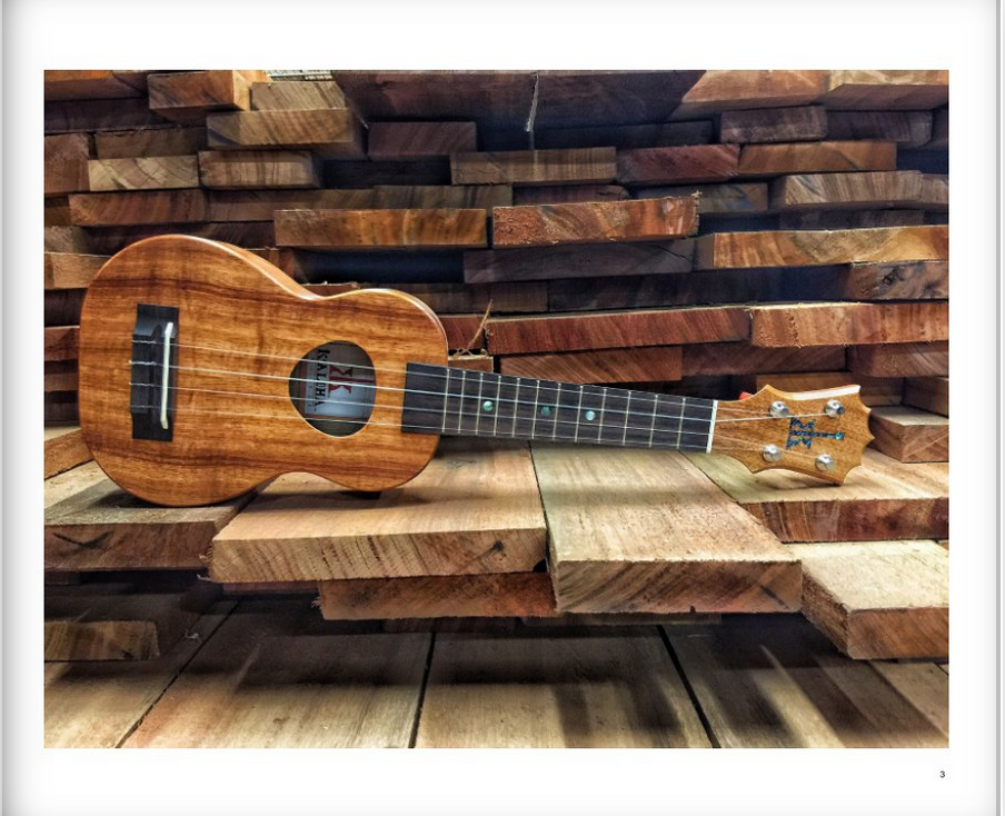 The Story of Koaloha by Staci Blevins - Softcover