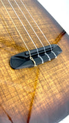 Blackbird Clara Concert sunburst