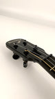 Blackbird Clara Concert sunburst