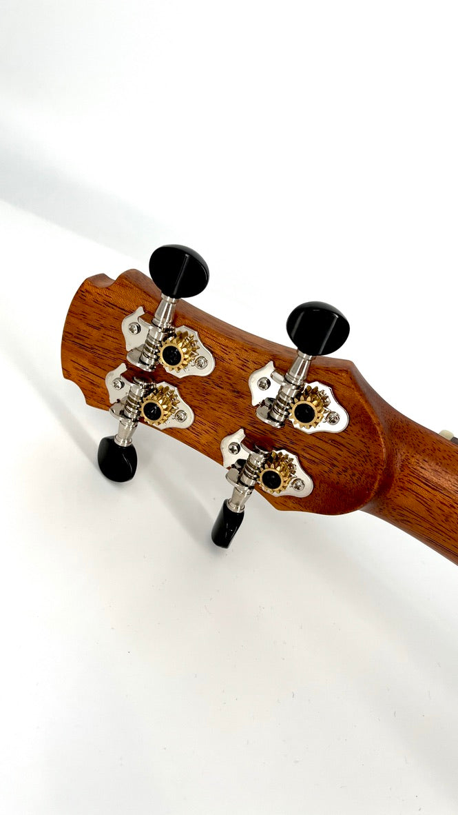 MAESTRO UC-SR SB Concert