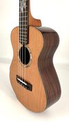 MAESTRO UT-IR (C) SB Tenor