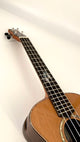 MAESTRO UT-IR (C) SB Tenor