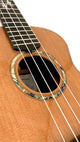 MAESTRO UT-IR (C) SB Tenor
