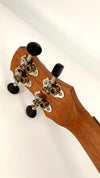 MAESTRO UT-IR (C) SB Tenor