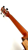 MAESTRO UT-SR (C) Tenor Cutaway
