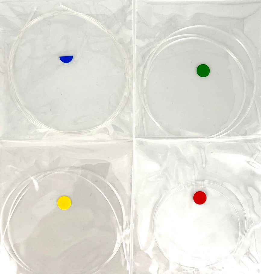 Rebel The Shining Tenor high G