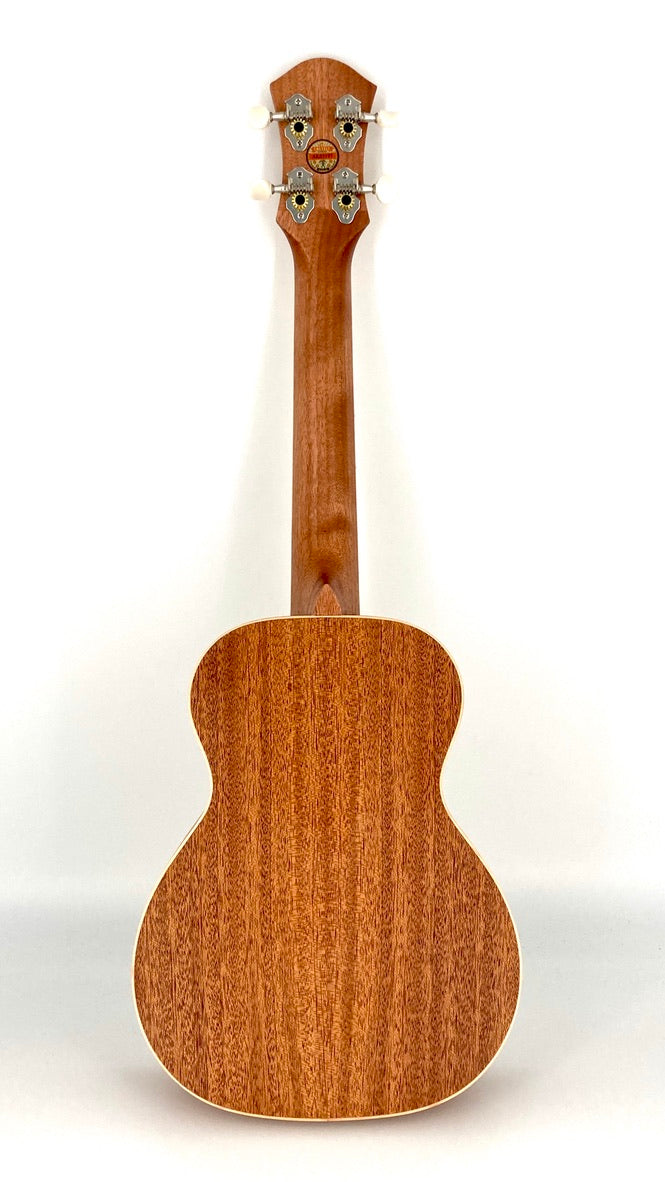 aNueNue UC-10 AM Concert