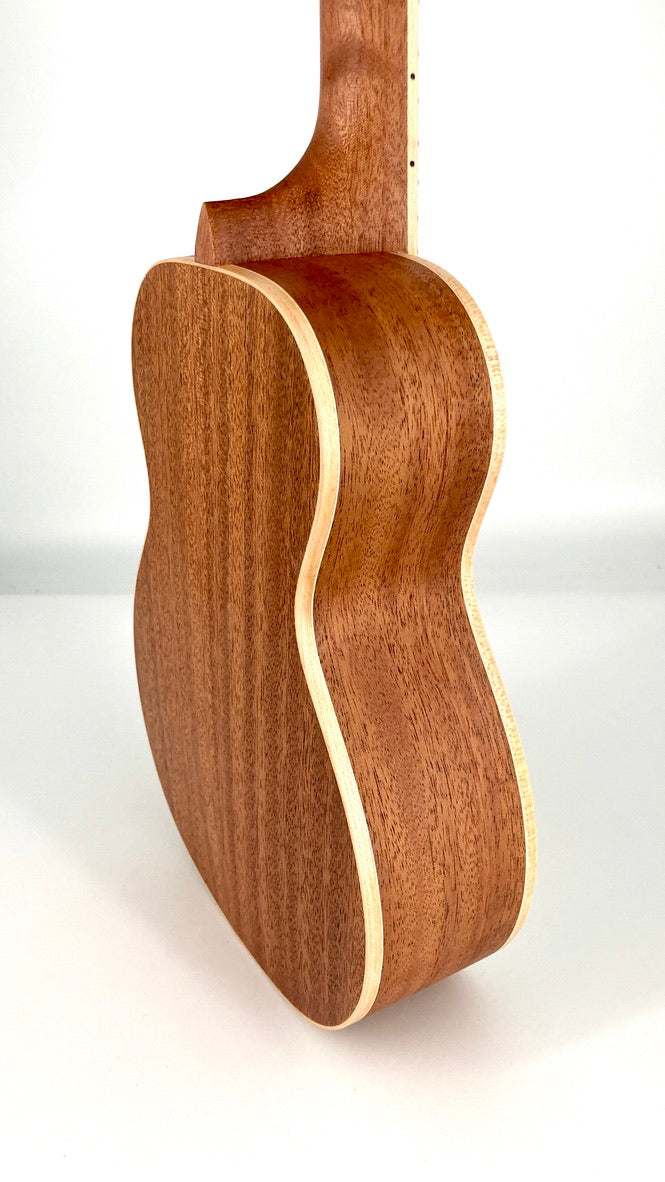 aNueNue UC-10 AM Concert