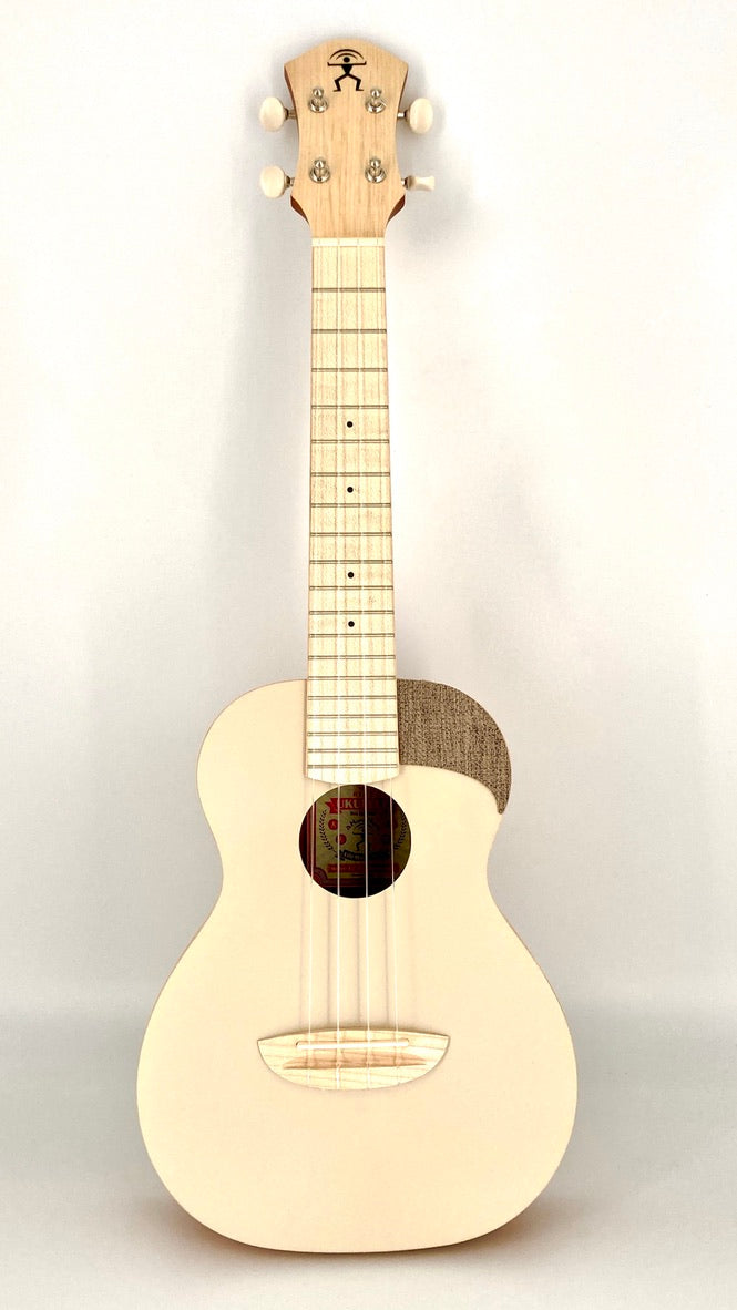 aNueNue UC-10 AM Concert