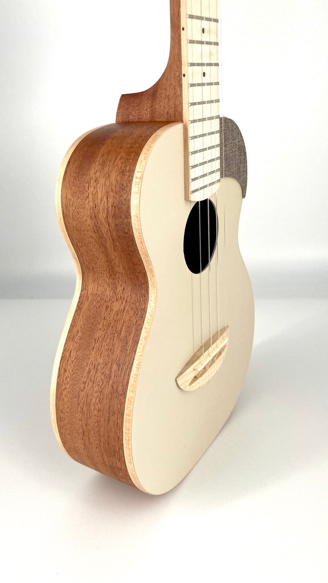 aNueNue UC-10 AM Concert