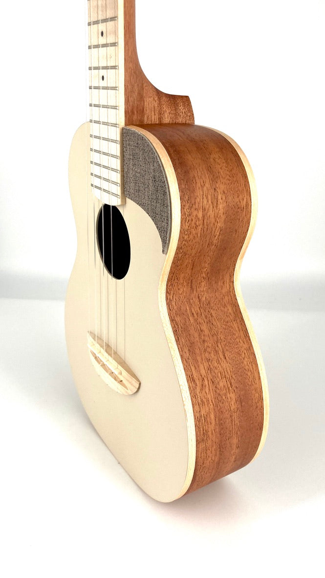 aNueNue UC-10 AM Concert