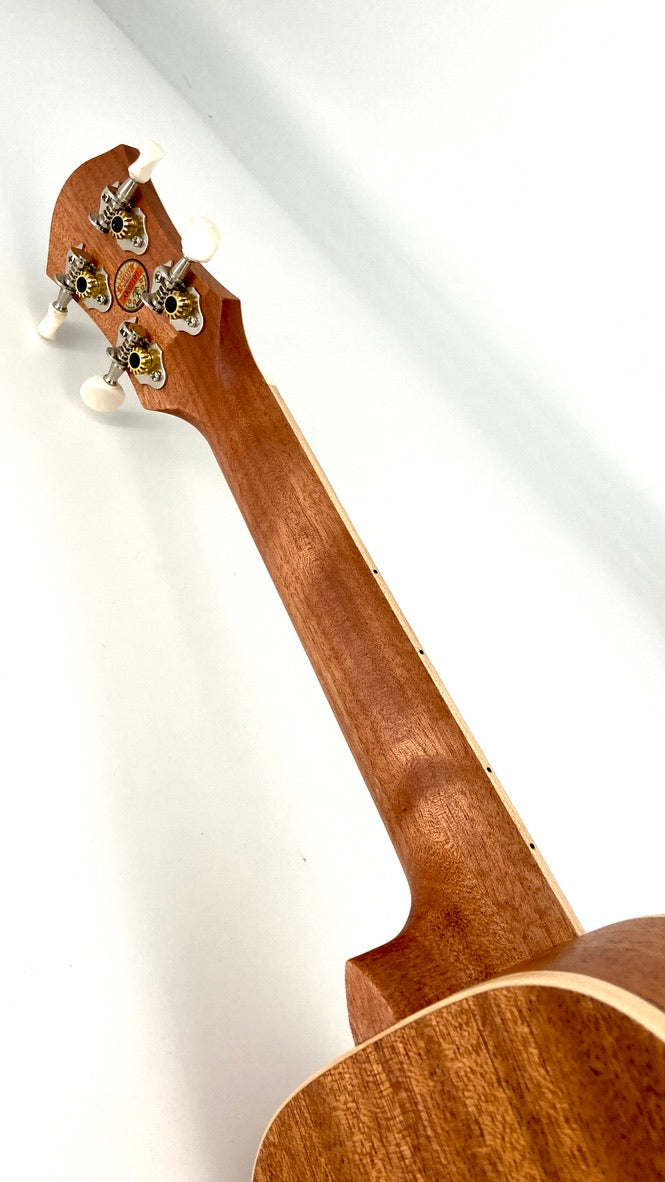 aNueNue UC-10 AM Concert