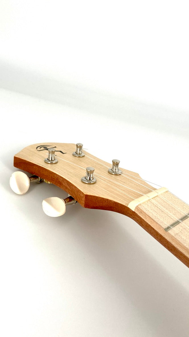 aNueNue UC-10 AM Concert