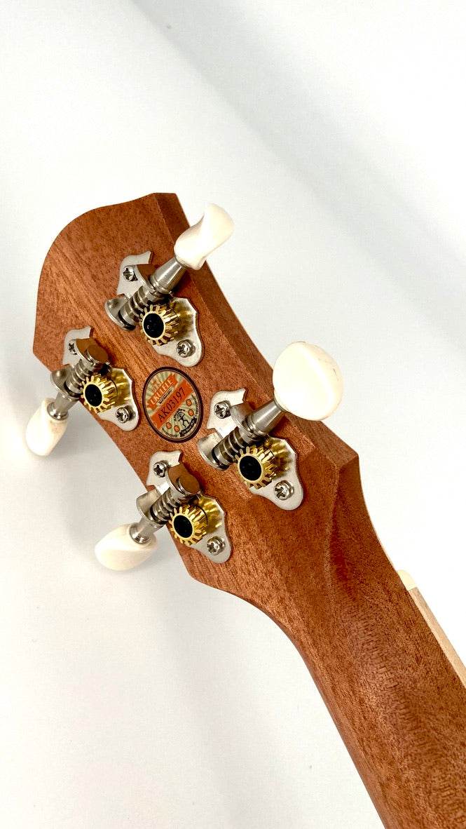 aNueNue UC-10 AM Concert