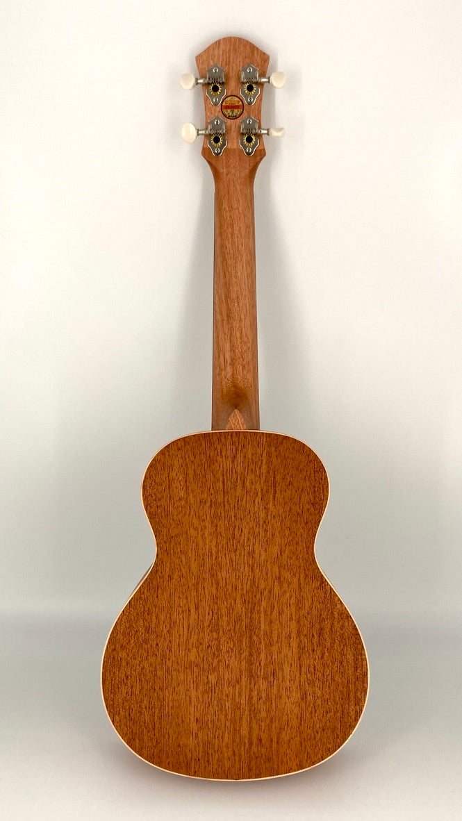 aNueNue UC-10 BA Concert