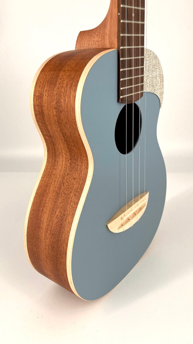 aNueNue UC-10 BA Concert