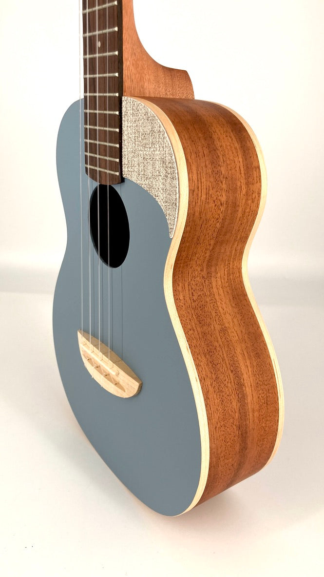 aNueNue UC-10 BA Concert