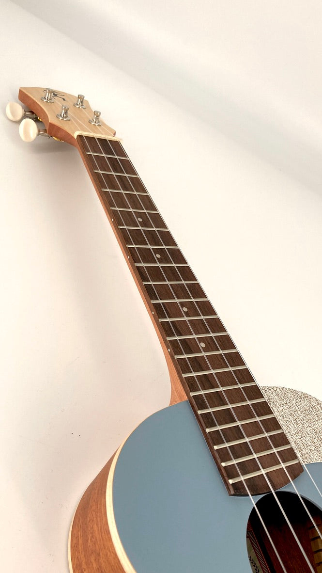 aNueNue UC-10 BA Concert