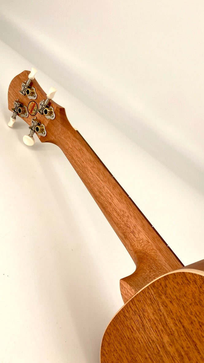 aNueNue UC-10 BA Concert