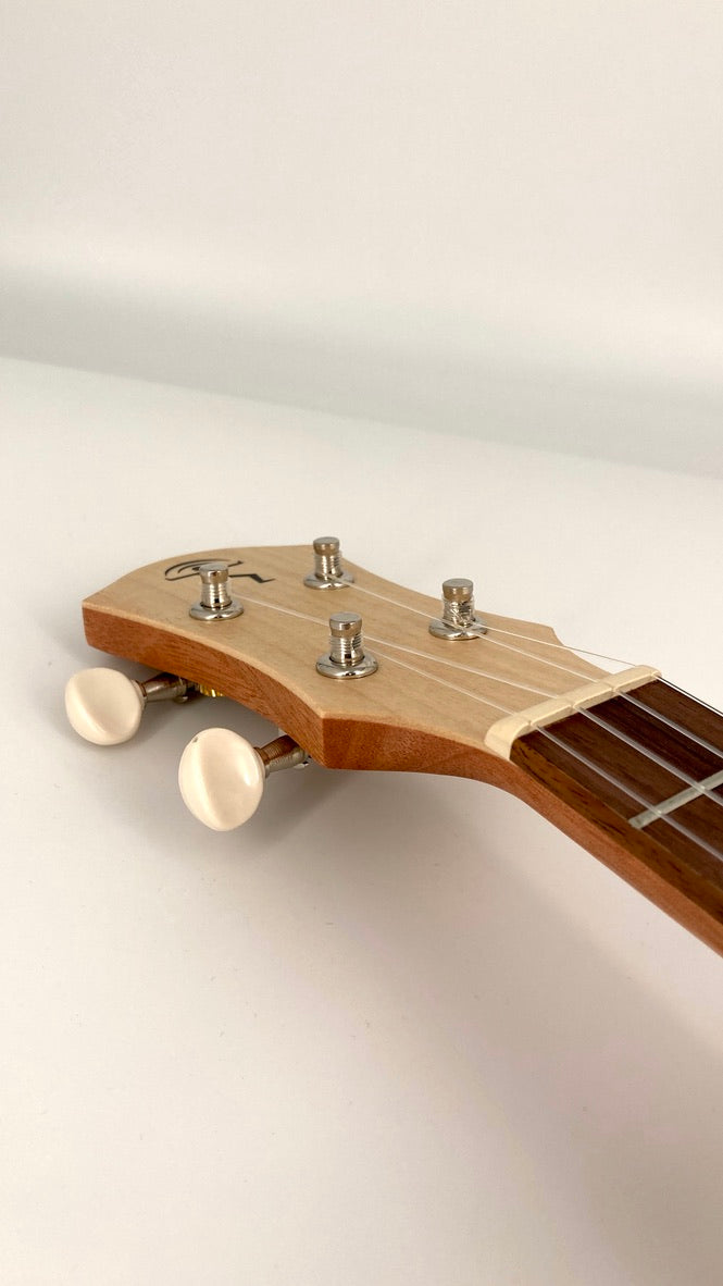 aNueNue UC-10 BA Concert