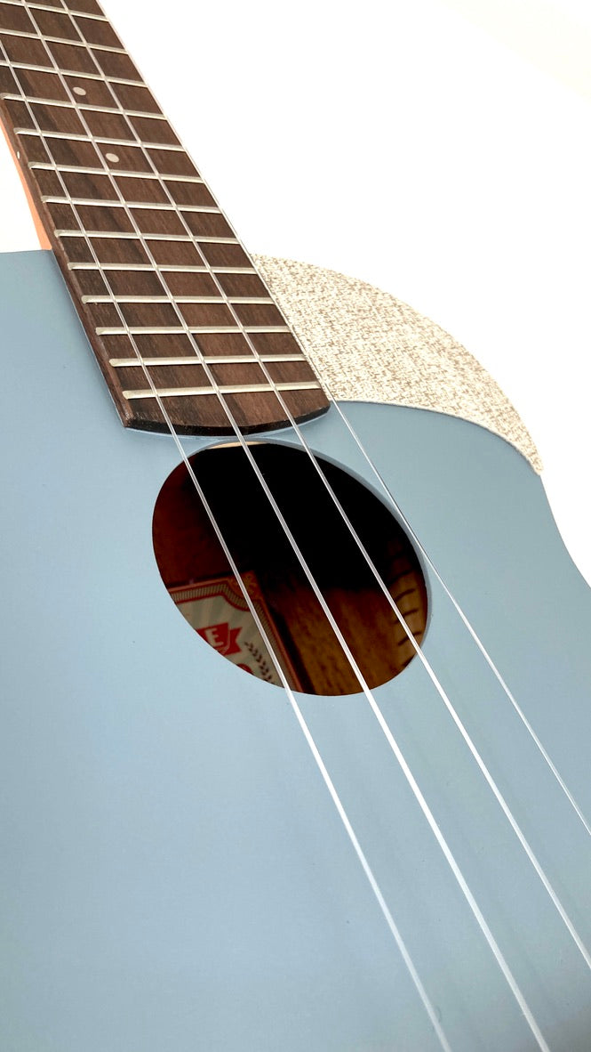 aNueNue UC-10 BA Concert