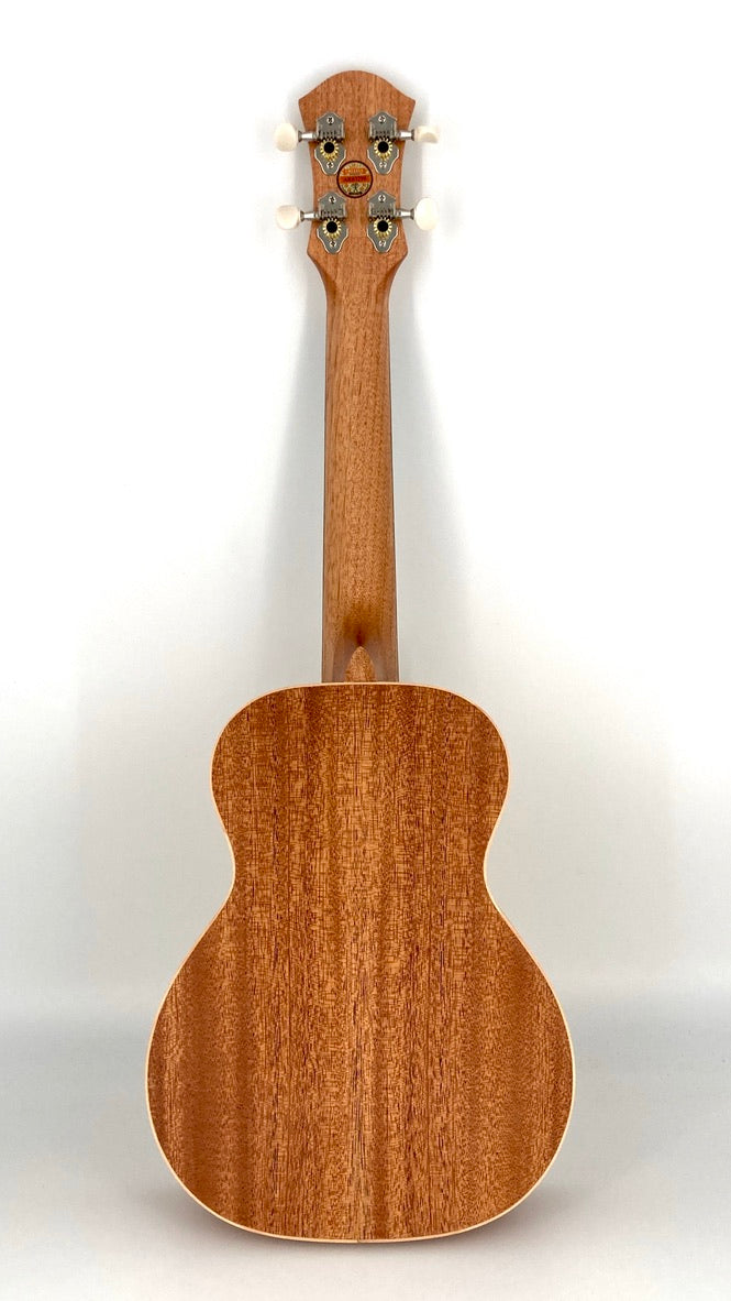 aNueNue UC-10 GG Concert