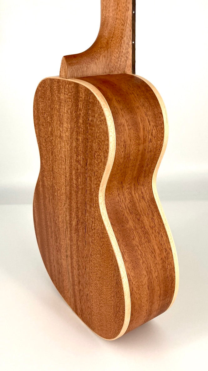 aNueNue UC-10 GG Concert