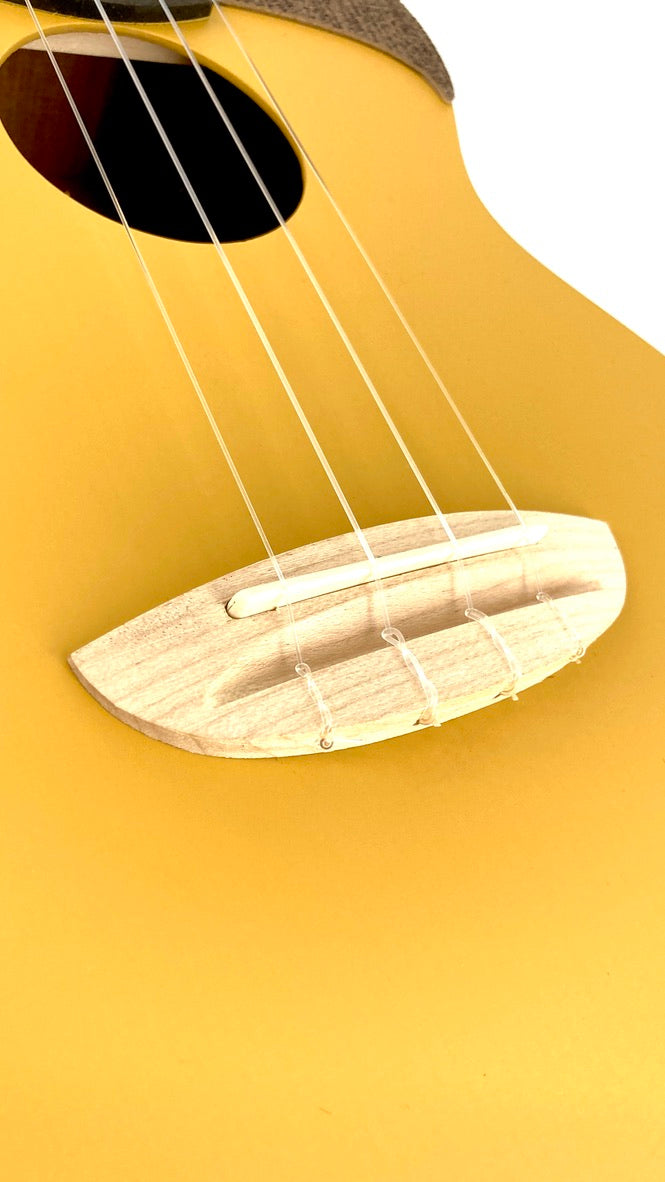 aNueNue UC-10 GG Concert