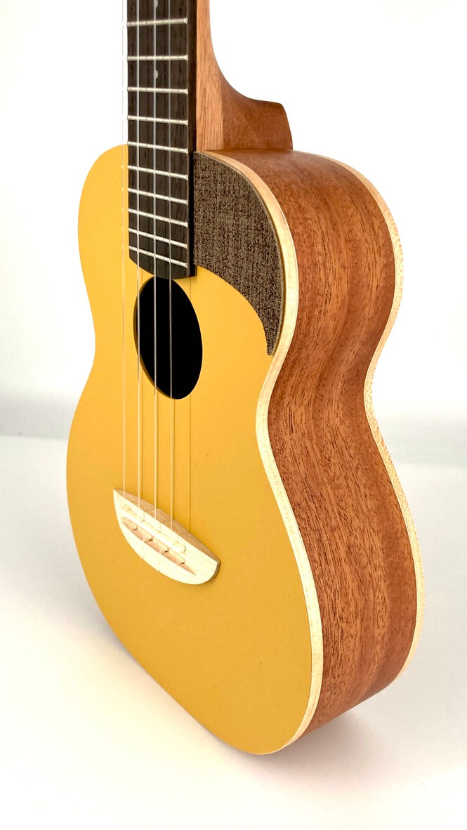 aNueNue UC-10 GG Concert