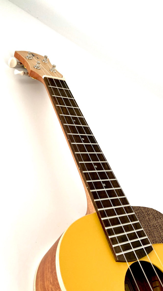 aNueNue UC-10 GG Concert