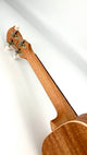 aNueNue UC-10 GGE Concert mit Pickup
